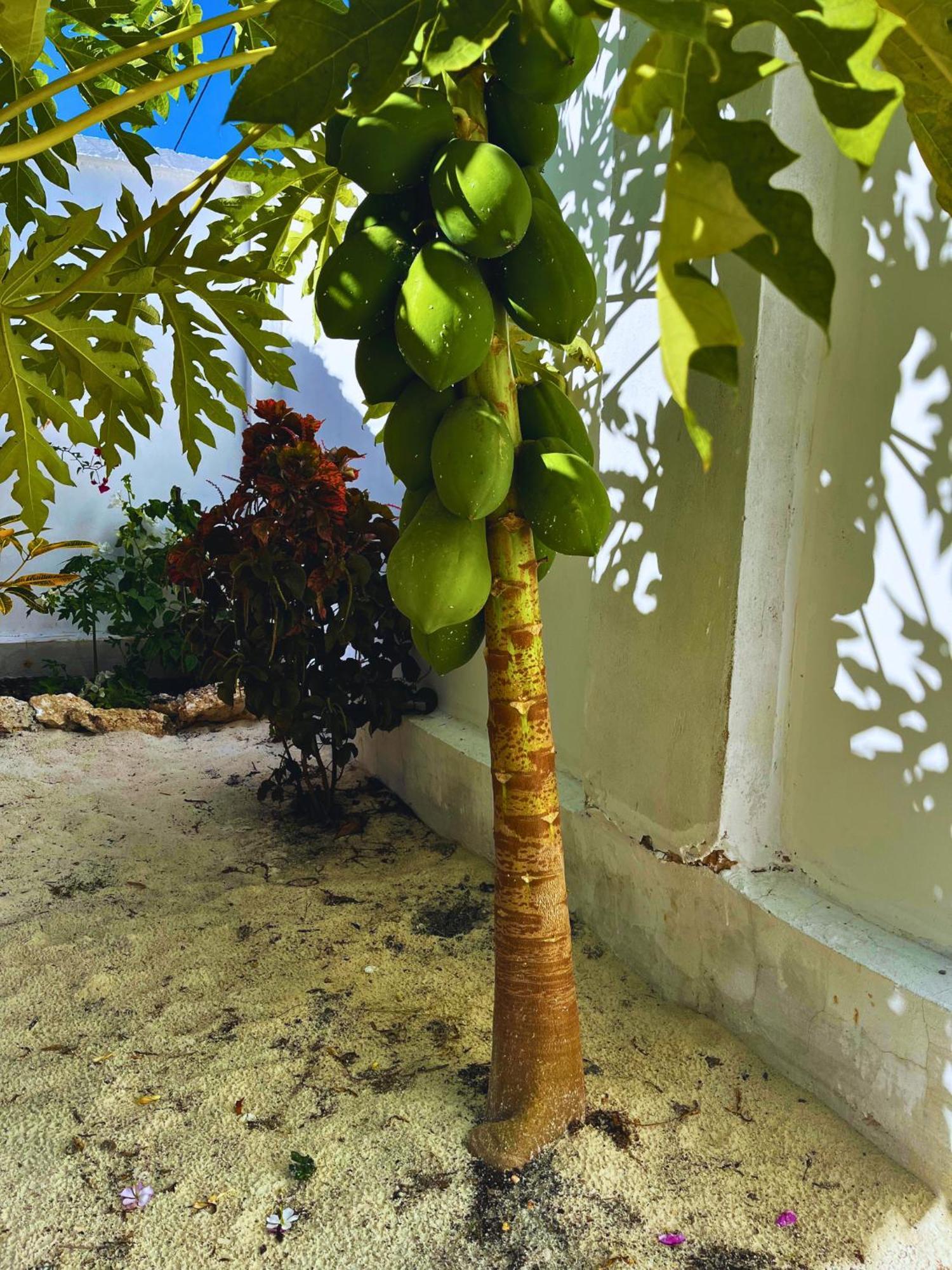 Sabali Lodge, Zanzibar Jambiani  Eksteriør bilde